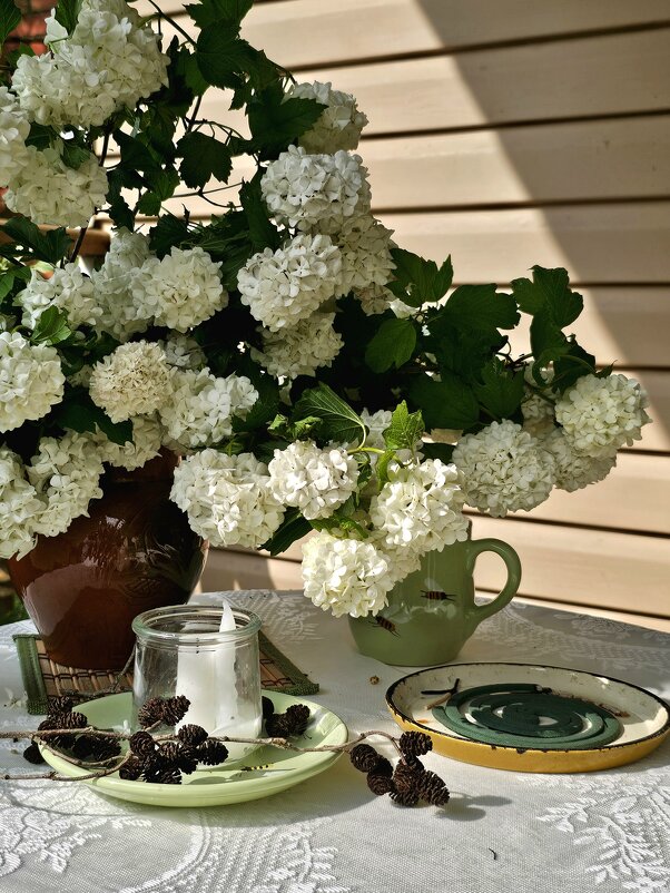 Дачные посиделки. - Галина Левина Дачные посиделки. - Галина Левина