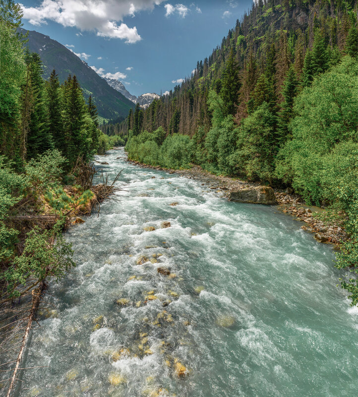 Тебердинский заповедник.Река Гоначхир. - Аnatoly Gaponenko Тебердинский заповедник.Река Гоначхир. - Аnatoly Gaponenko