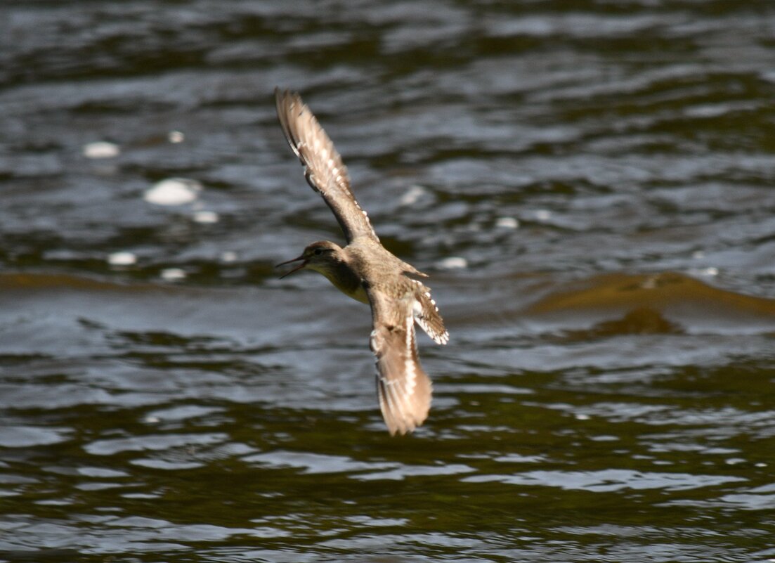 Вираж над водой - Сергей Шаврин