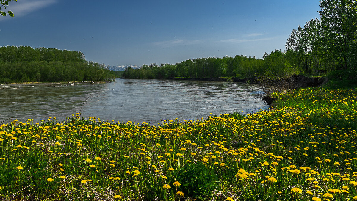 ... - Жора Житников ... - Жора Житников