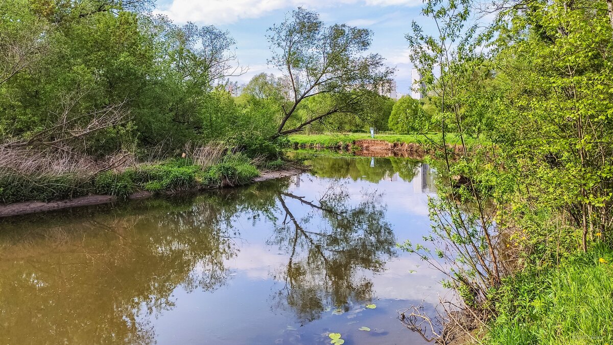 Просто посмотри ... - Kirill 