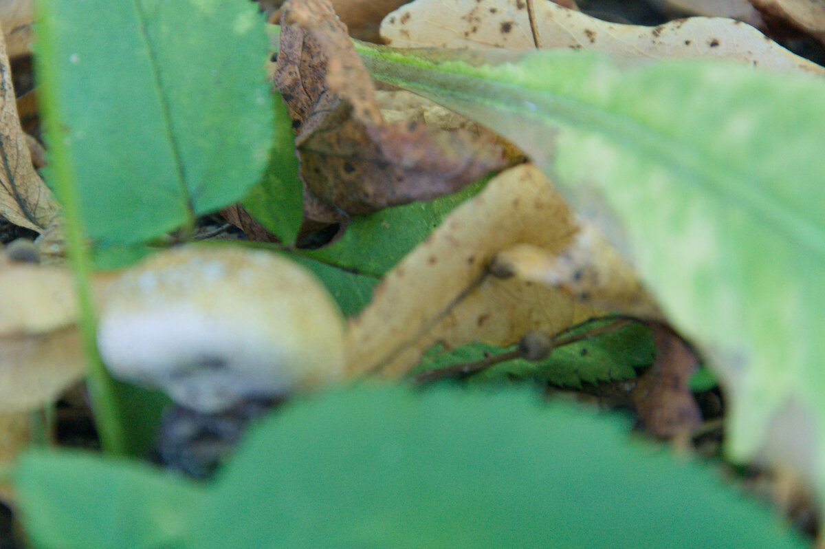 -- - Александр Малюгин