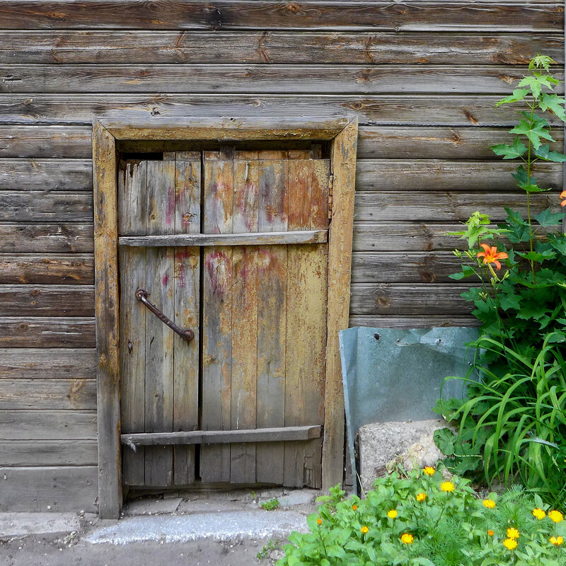 дверь в детство - Саша Милашкин