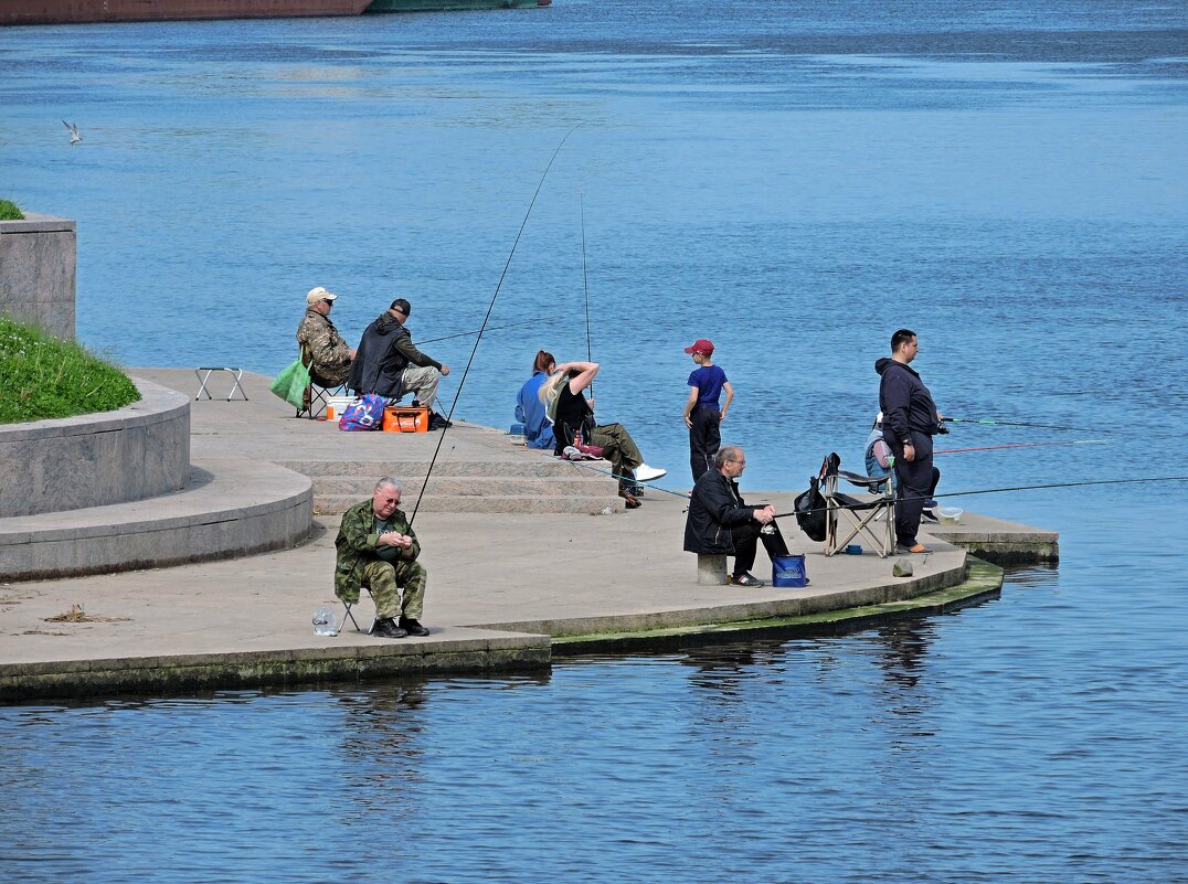 Общий интерес... - Мария Васильева