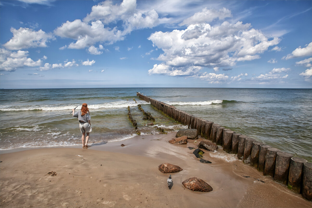 * - Александр Лисовский