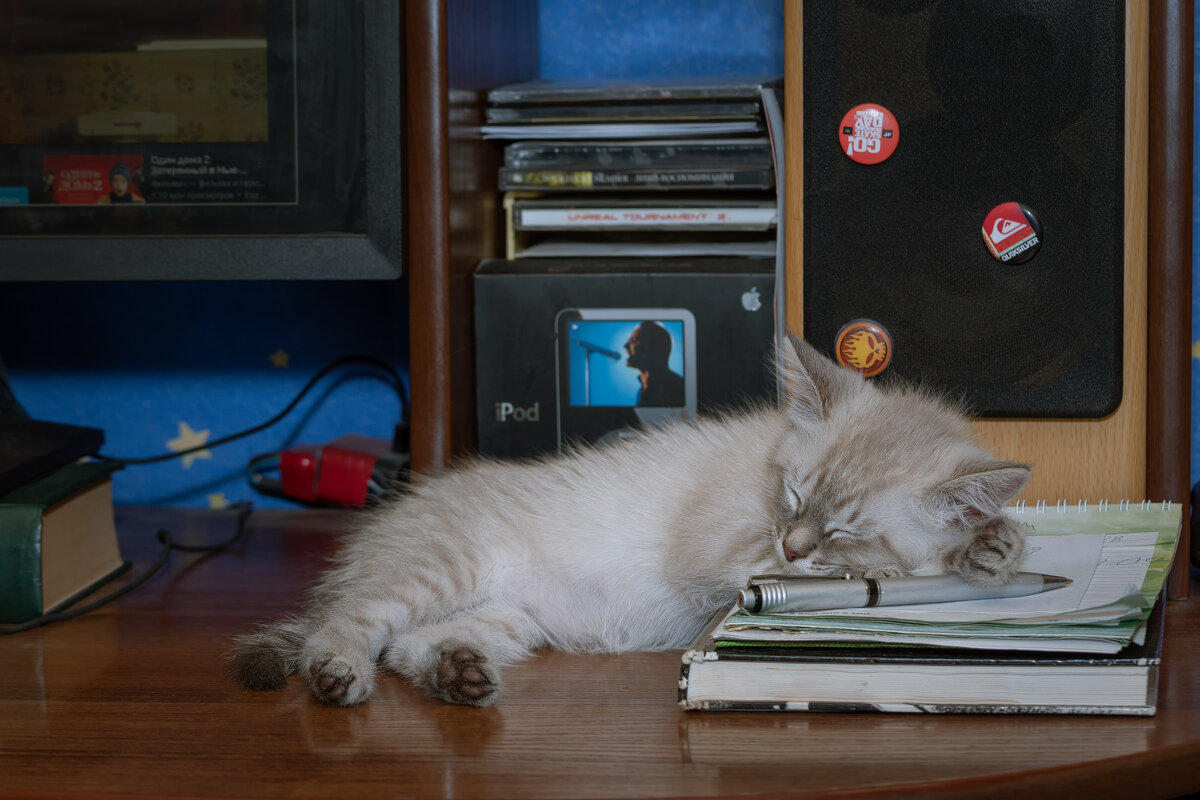 СИСАДМИН СПИТ - СЛУЖБА ИДЁТ!   :-) - Володька Завитушкин