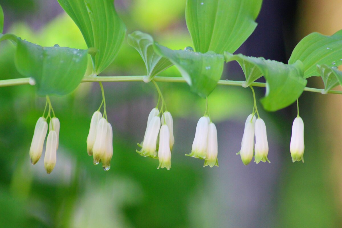 ... - Владимир иванов