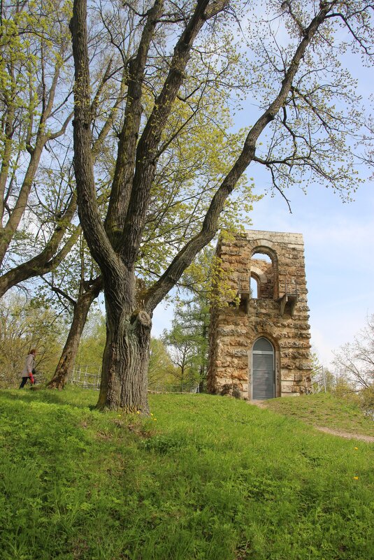Стрельна. Орловский парк - Наталья Герасимова