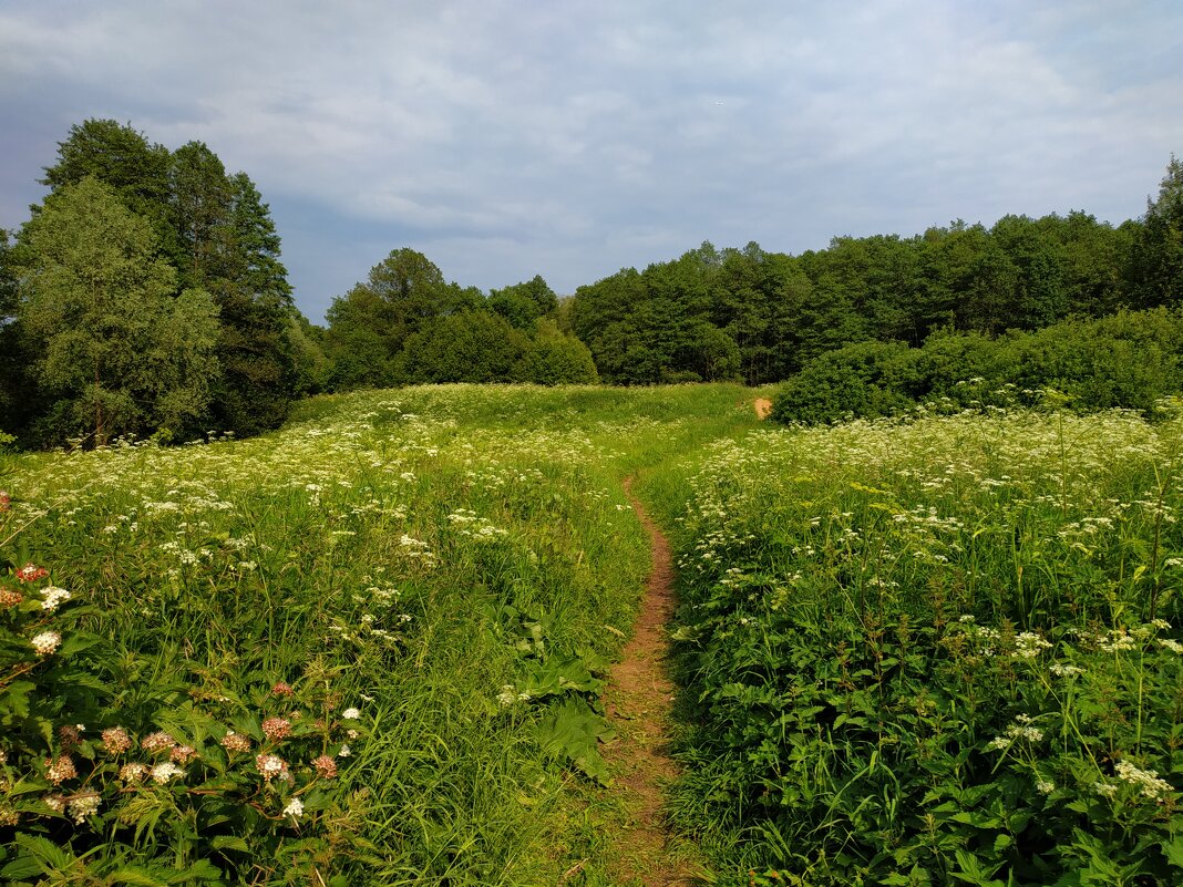 День России. Для меня Россия такая - Андрей Лукьянов