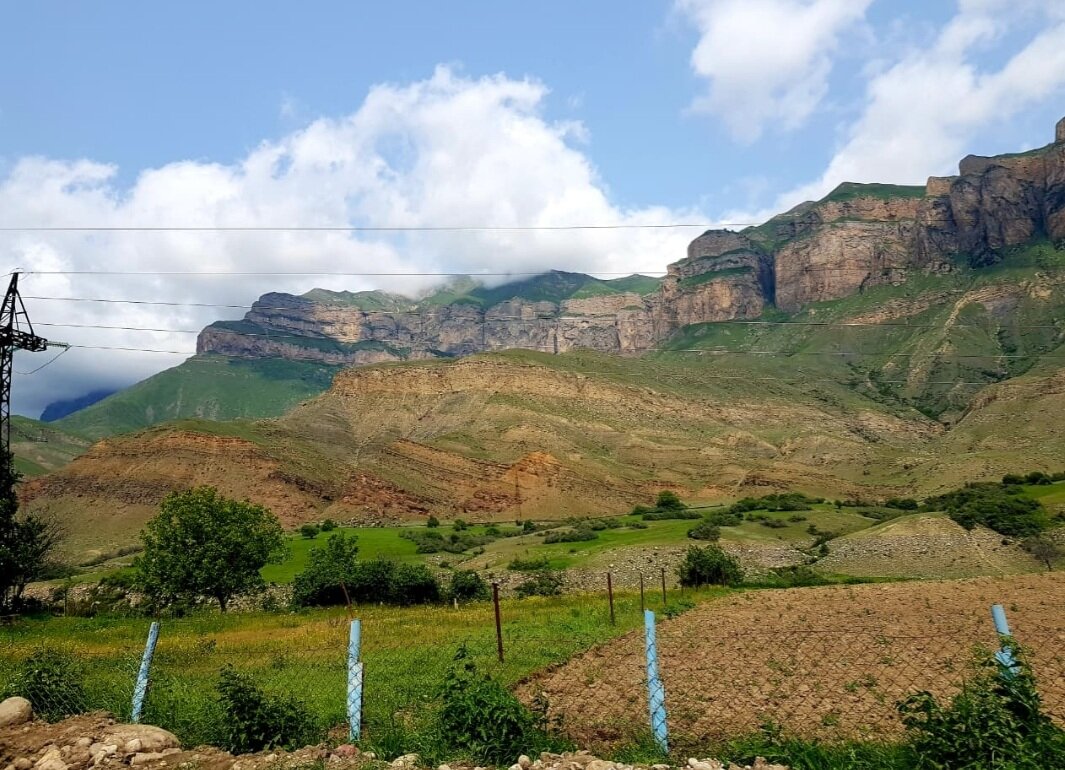 ПУТЕШЕСТВИЕ - Tata Wolf