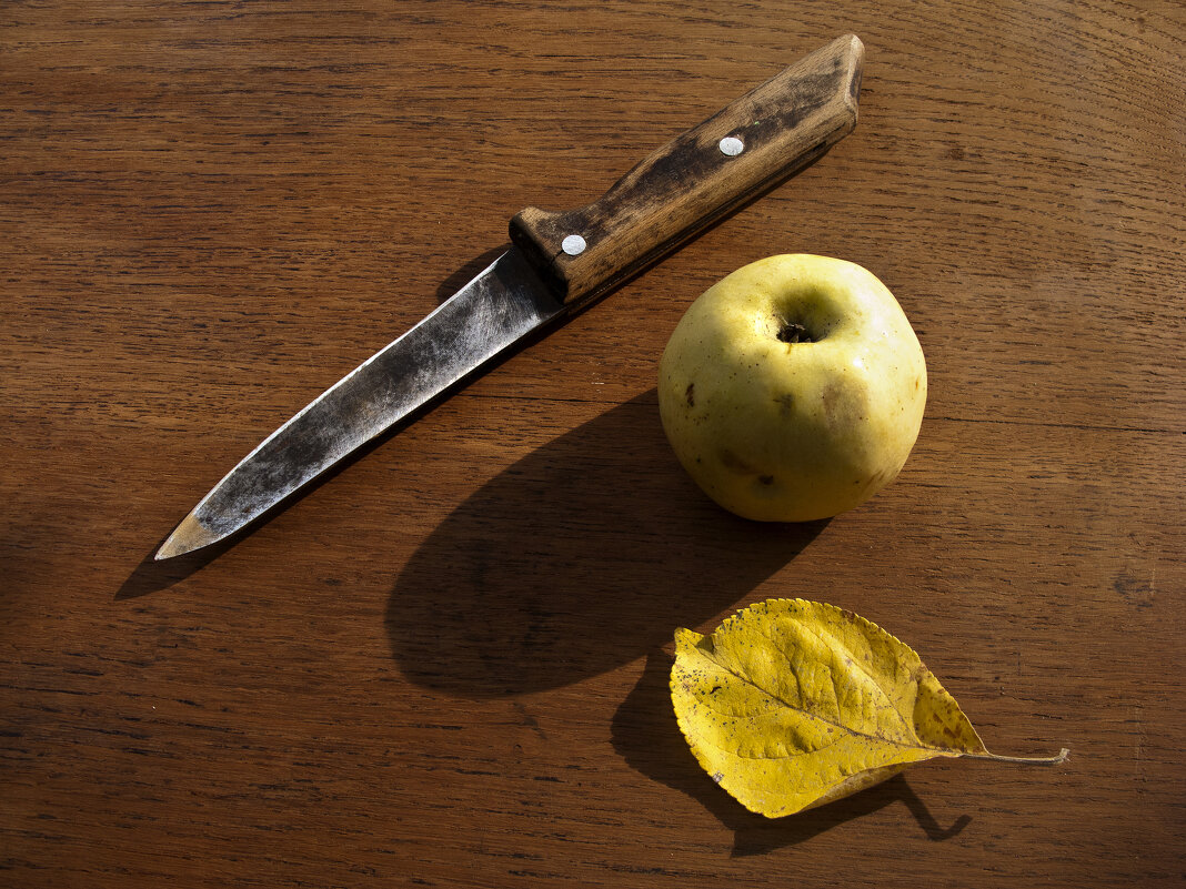 Осенний треугольник - Владимир Шишкин