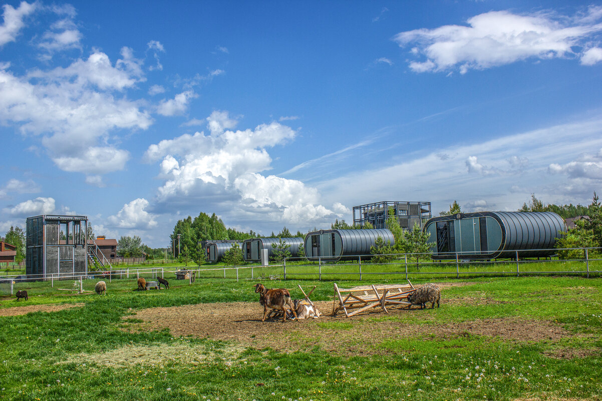 Вернёмся к нашим баранам. - Михаил "Skipper"