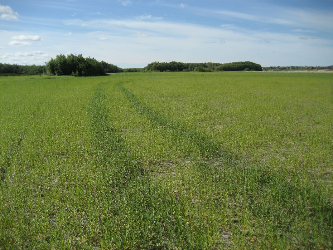 На острове - Anna Ivanova На острове - Anna Ivanova