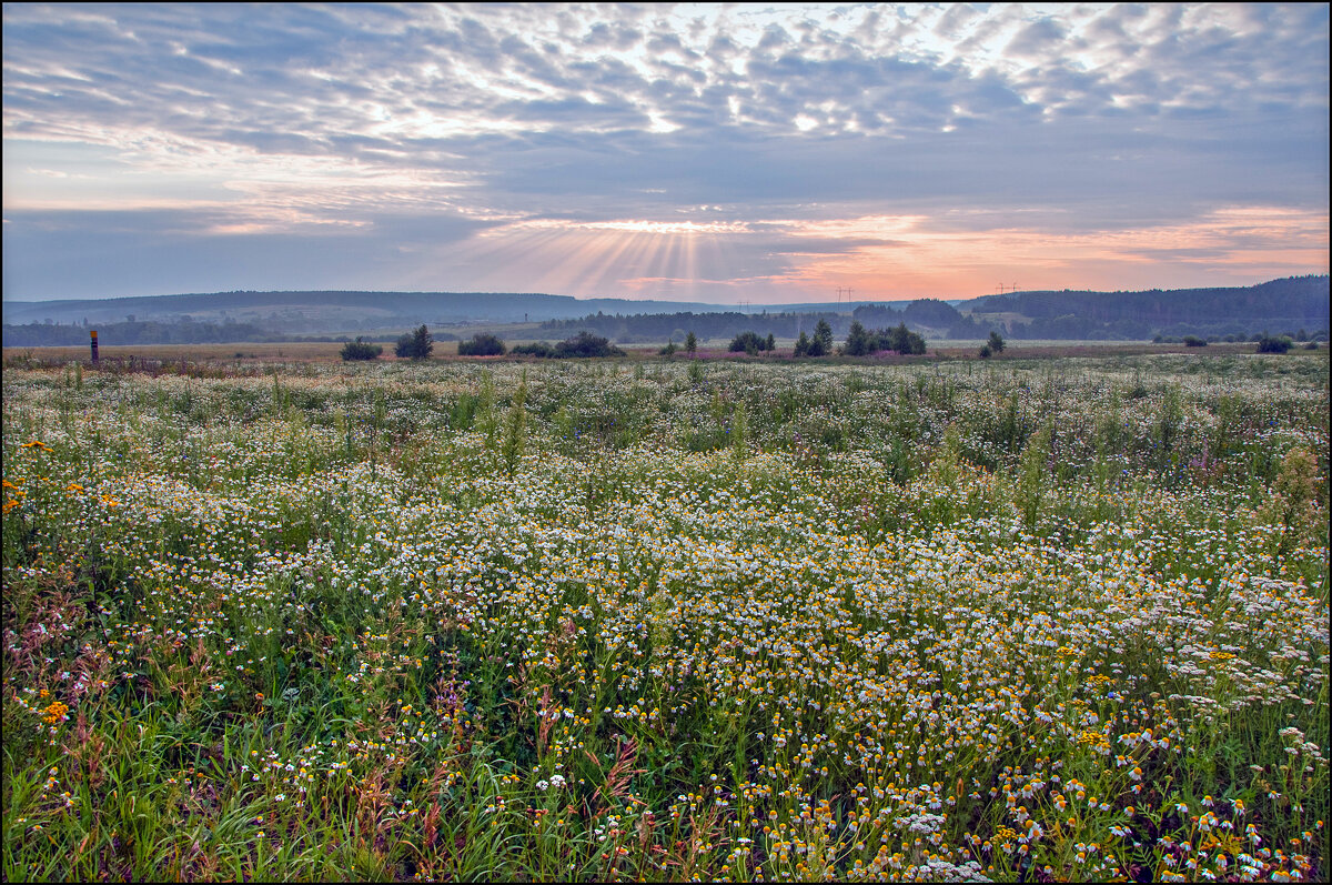 Утро - **** vedin