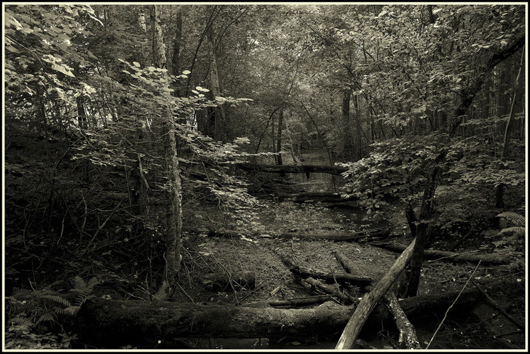 ...чужие здесь не ходят... - Aleksandr Gal