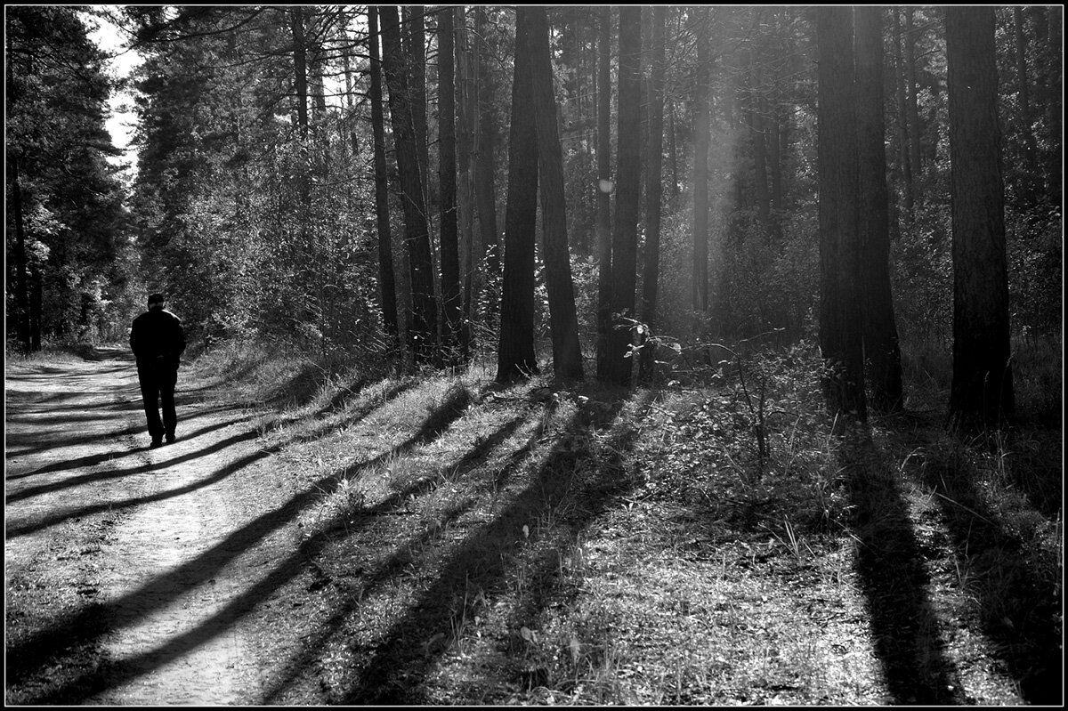 Прогулка по лесу - Aleksandr Gal Прогулка по лесу - Aleksandr Gal