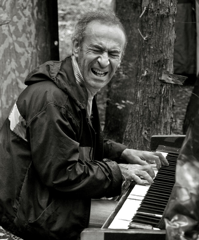 Рояль в кустах - СЮ 