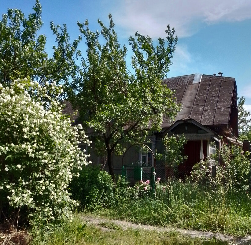 *** - Валентина Береснева