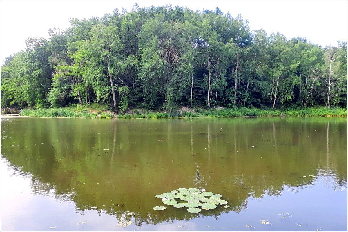 * * * - Сеня Белгородский