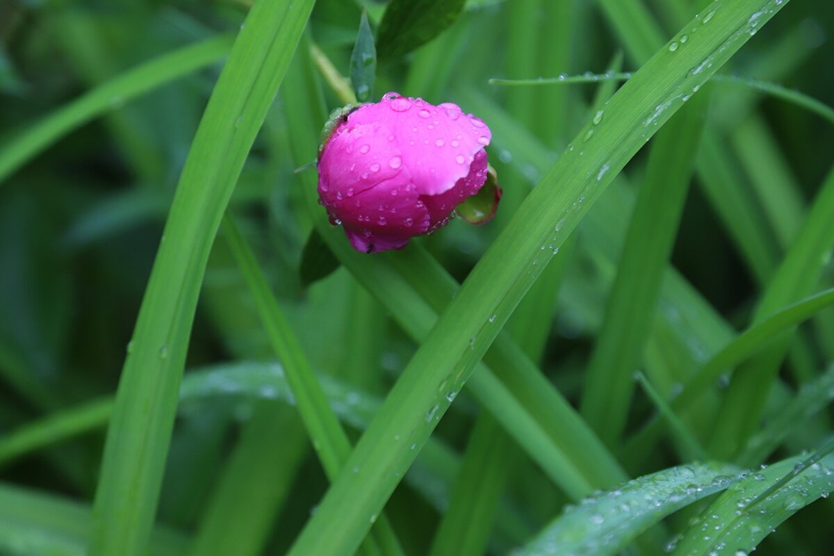 .... - Владимир иванов