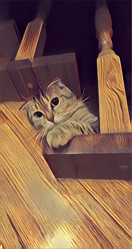 Колорит - константин 