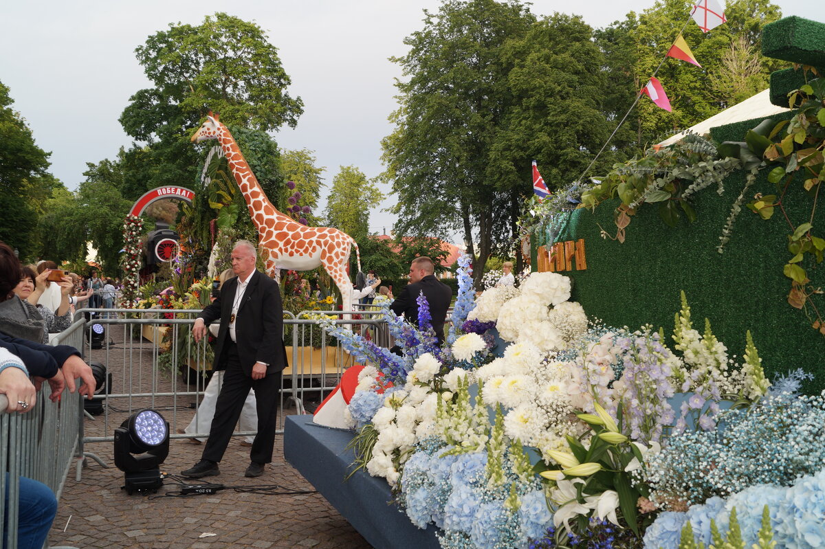 на фестивале живых цветов - Anna-Sabina Anna-Sabina на фестивале живых цветов - Anna-Sabina Anna-Sabina