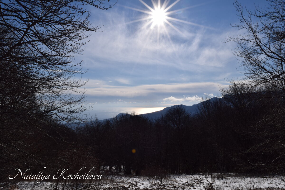 Природа Крыма - Amazing Cosmea