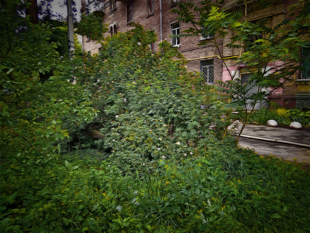 Старый город 51. - Андрей. Старый город 51. - Андрей.