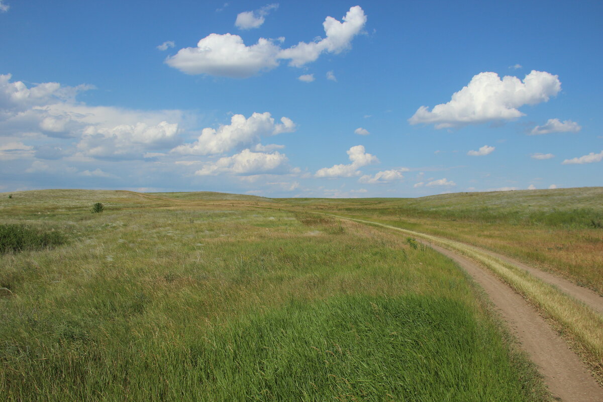 Мои дороги. - Виктор 