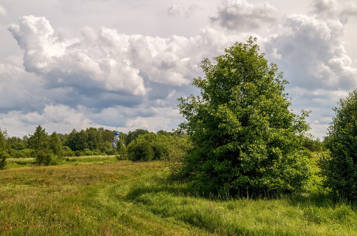 **** - Андрей Дворников