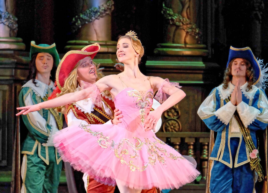 Балет "Спящая красавица" - Валерий Судачок