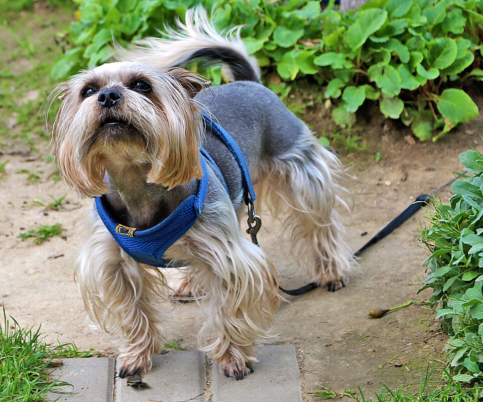 Ты кто? - Светлана 