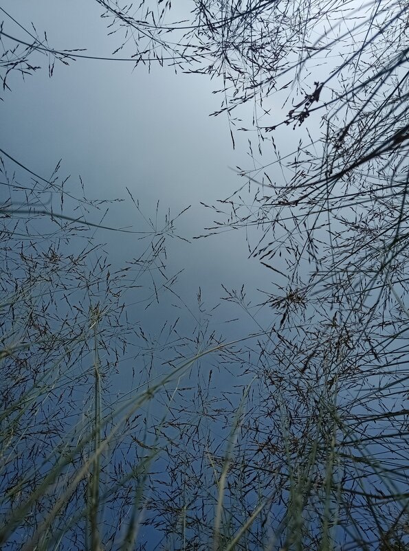 Какое небо голубое... - Pippa Какое небо голубое... - Pippa