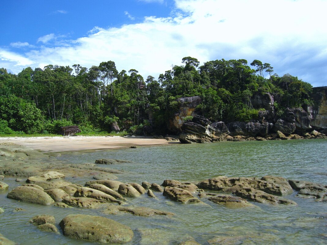 Национальный парк Бако, Малайзия. - unix (Илья Утропов)