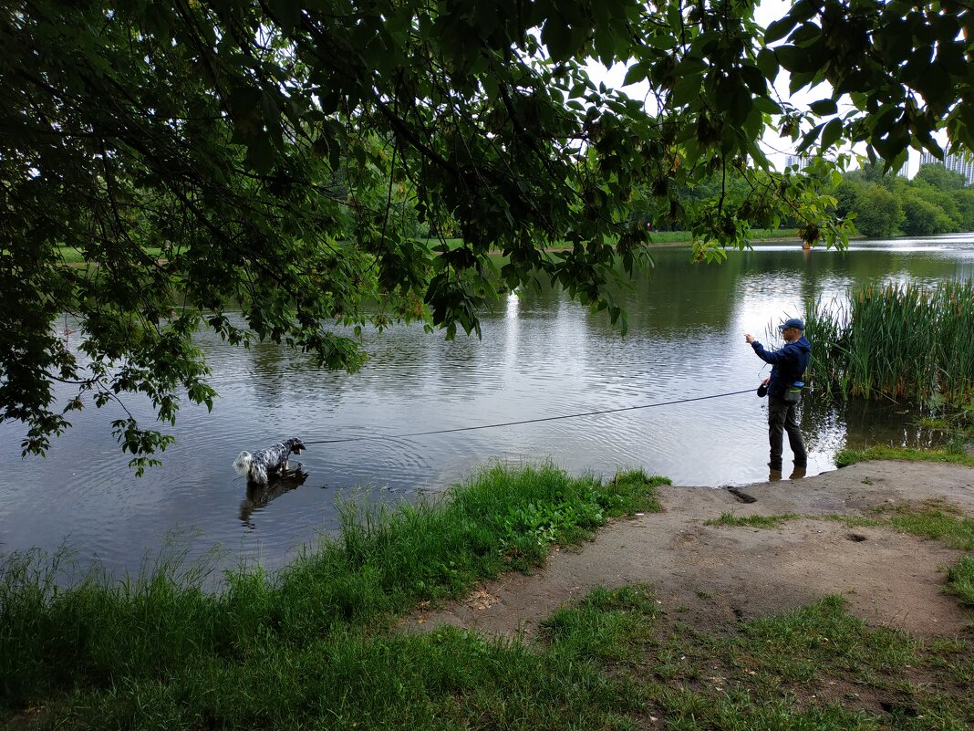 Сегодня непогода - Андрей Лукьянов Сегодня непогода - Андрей Лукьянов