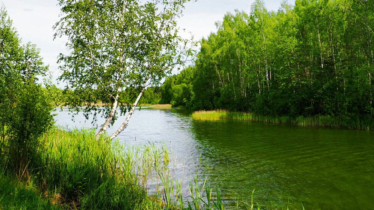 Смоленское лето (репортаж из поездок по области). - Милешкин Владимир Алексеевич Смоленское лето (репортаж из поездок по области). - Милешкин Владимир Алексеевич