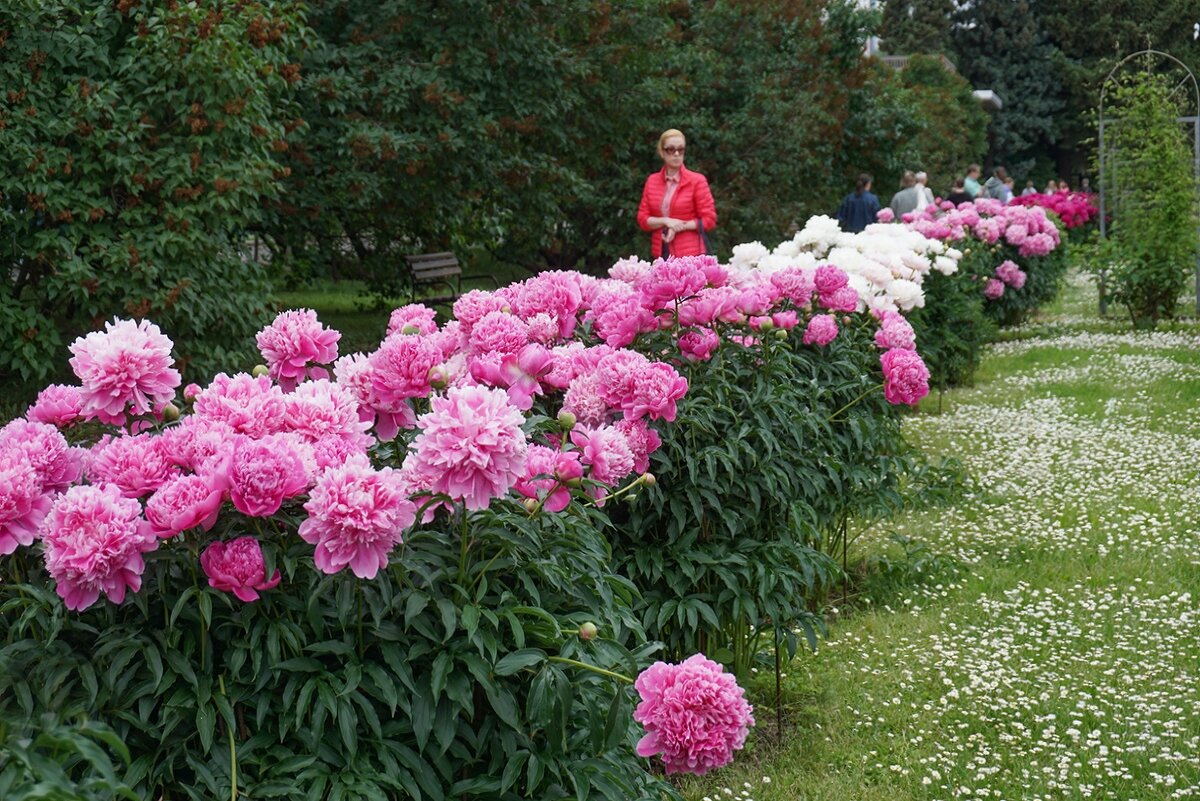 В ботаническом саду - Ольга 