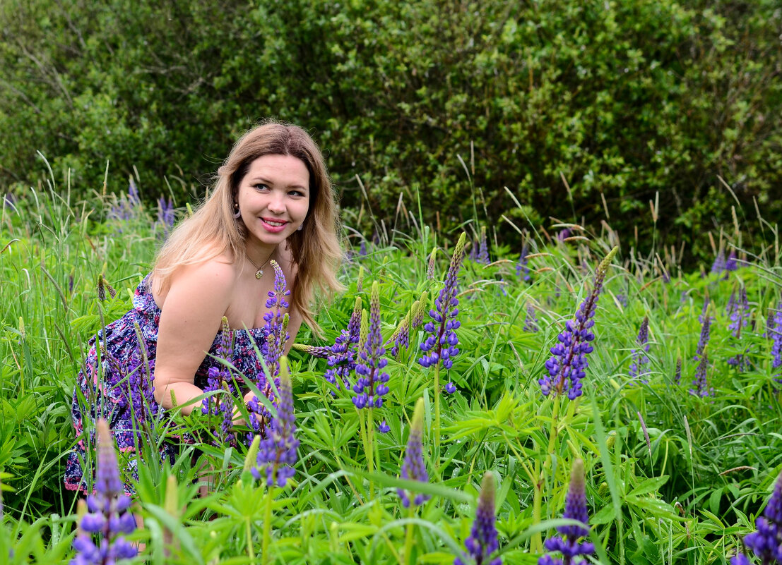 Когда цветут люпины - Магомед .