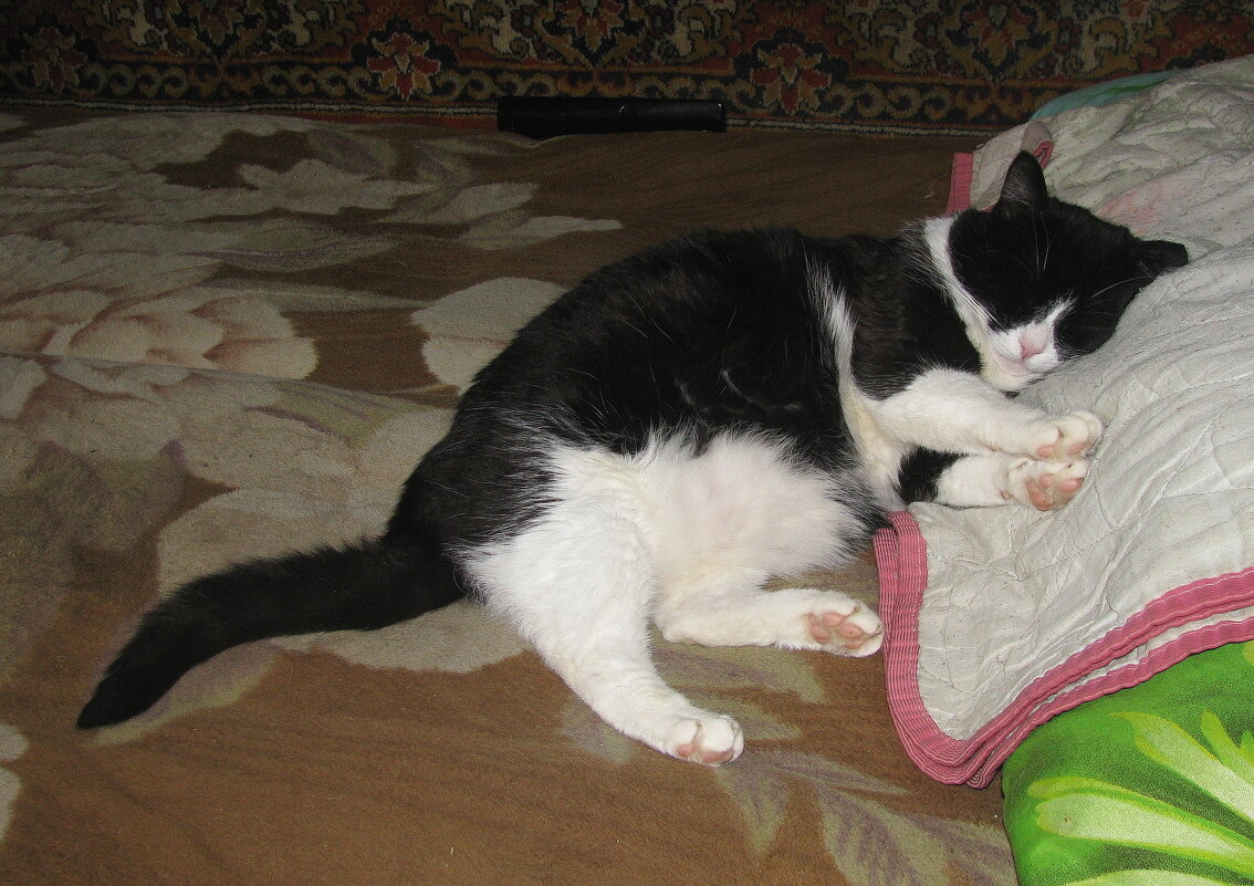 В дождливый день - Людмила Смородинская