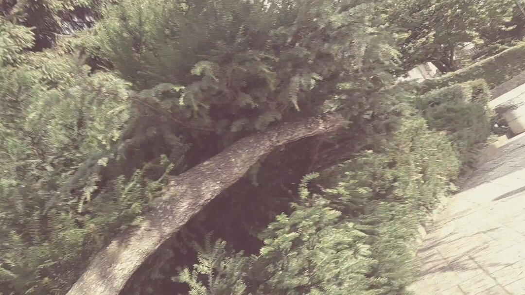 ЛЕ БО 2 (23) - CLOSE WAYS ALL