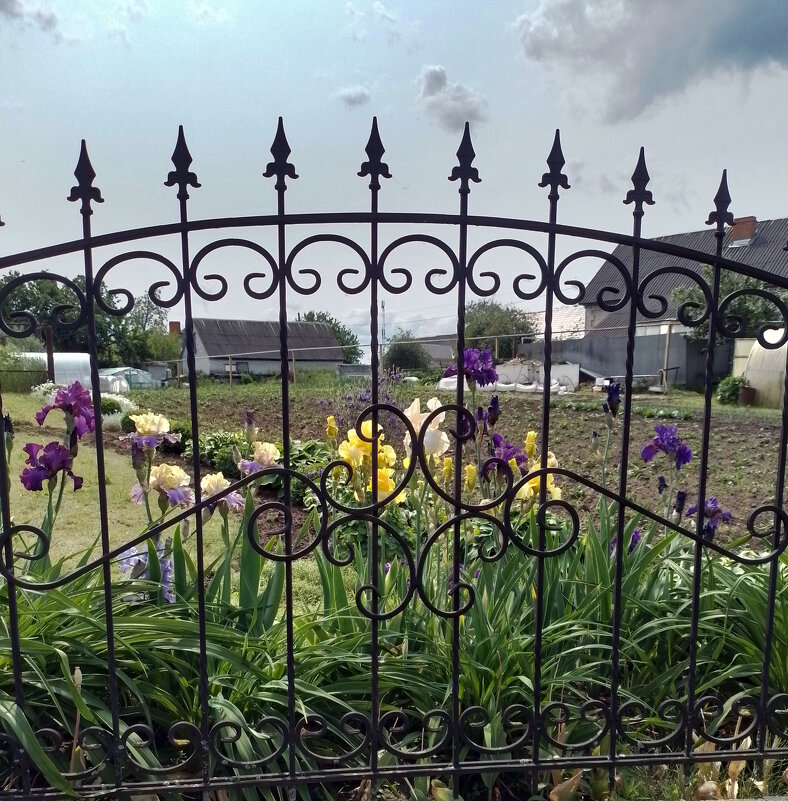 *** - Валентина Береснева