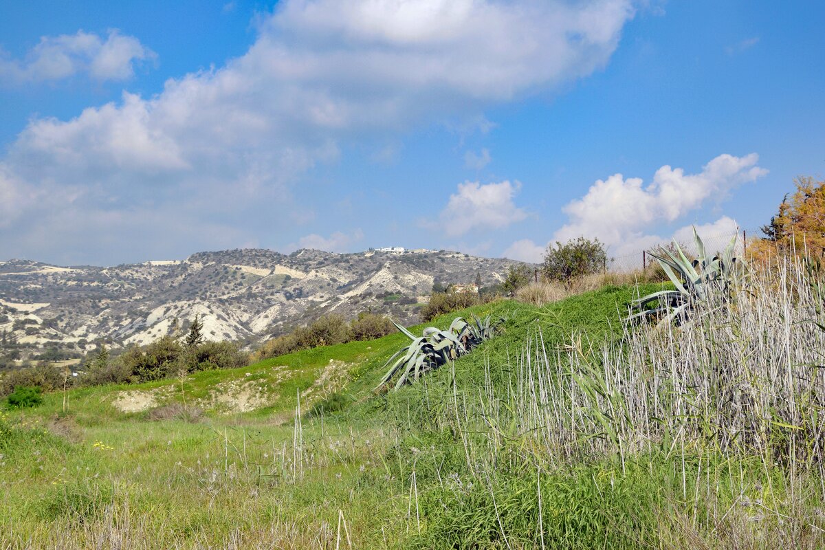 Пейзаж - Oleg4618 Шутченко