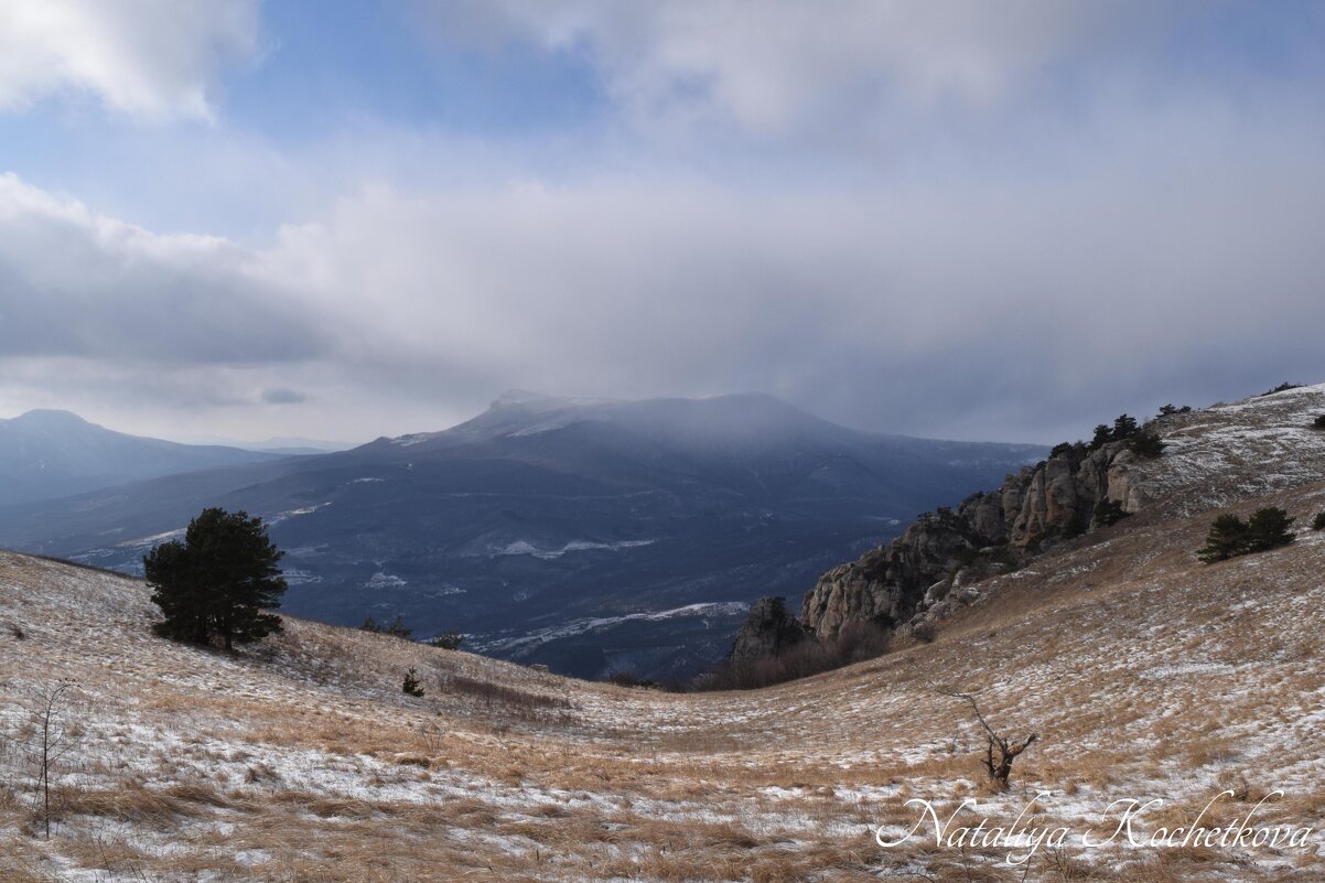 Природа Крыма - Amazing Cosmea