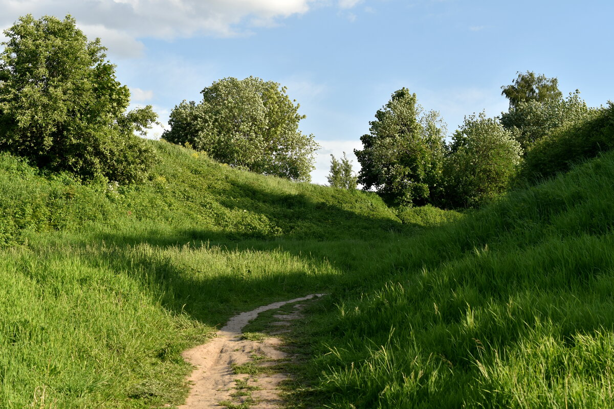 Голосов овраг - Леонид Иванчук