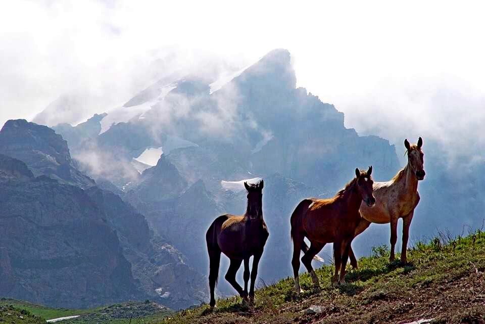 ПО ГОРАМ. - Виктор Осипчук
