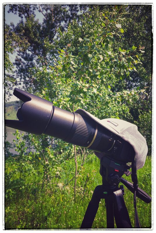 Чтобы голову не напекло. - Вадим Басов