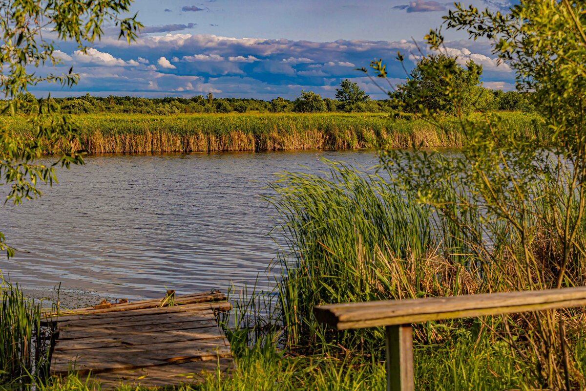 Скамейка у озера - Юра Викулин Скамейка у озера - Юра Викулин