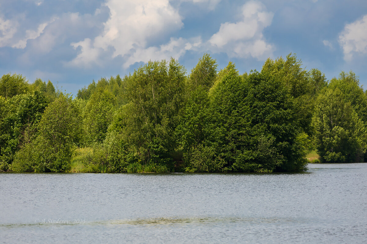 Природа на озере - Александр Синдерёв