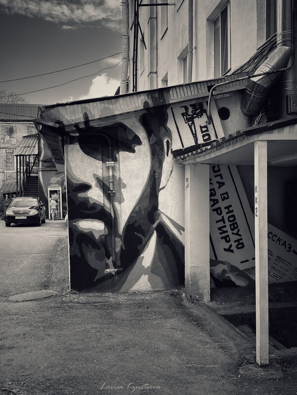 Двор Довлатова - Larisa Kuznetsova