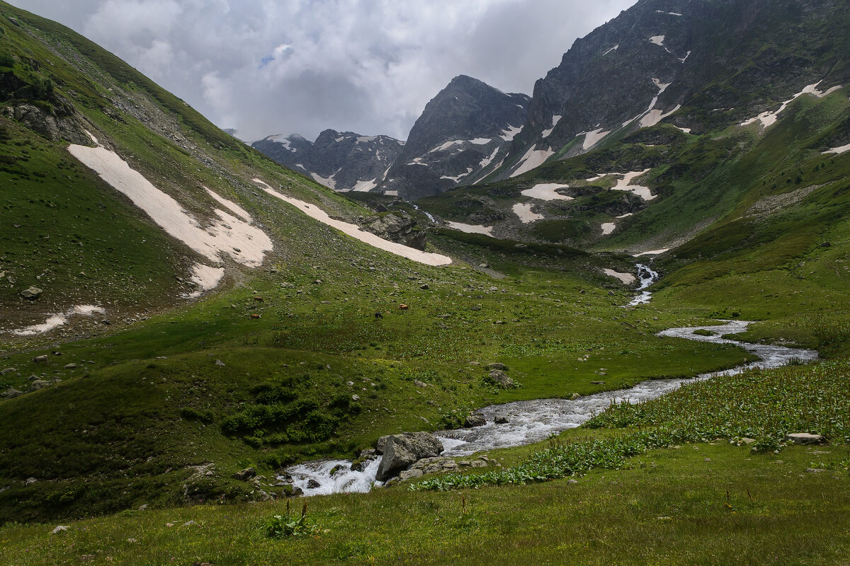 ... - Сергей Лысенко